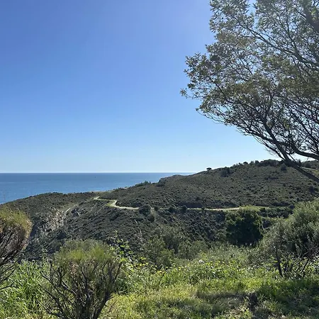 Apartament 2 Pieces 4 Couchages Sur Bn120-4101 Banyuls-sur-Mer
