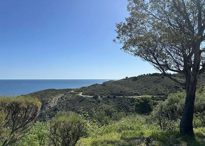 Διαμέρισμα 2 Pieces 4 Couchages Sur Bn120-4101 Banyuls-sur-Mer